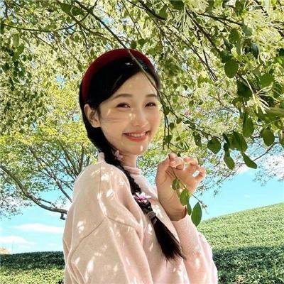 生命骑士